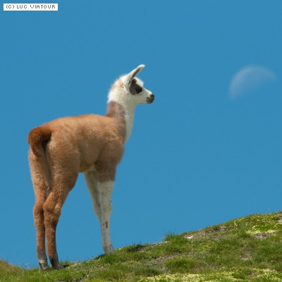 This image has been removed. For security reasons, only images from the local domain are allowed. Image removed.
